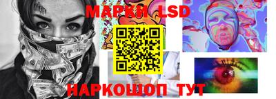 прущие грибы Донской