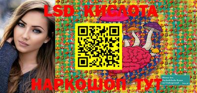 прущие грибы Донской